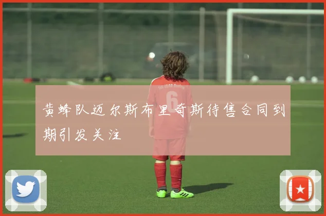 黄蜂队迈尔斯布里奇斯待售合同到期引发关注